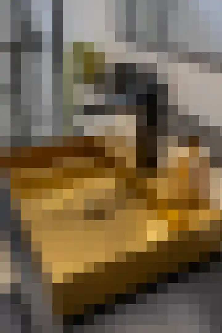 Rengerslaan 25 Kolham thumbnail 24