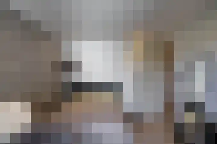 Rengerslaan 25 Kolham thumbnail 26