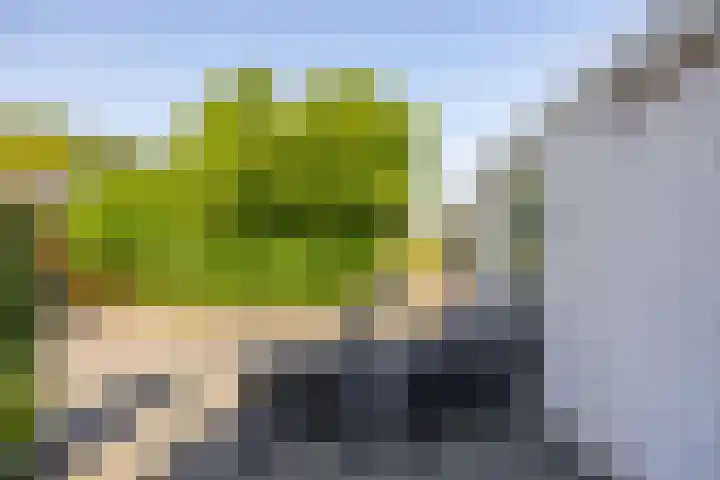 Rengerslaan 25 Kolham thumbnail 34