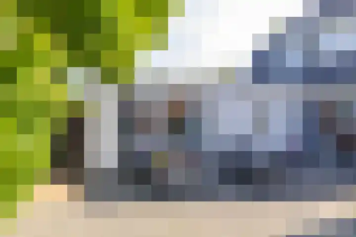Rengerslaan 25 Kolham thumbnail 35