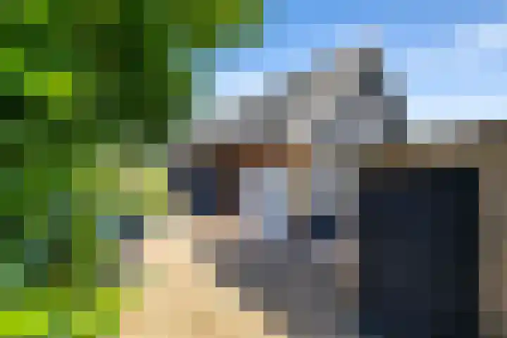 Rengerslaan 25 Kolham thumbnail 36