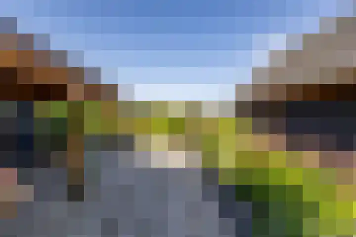 Rengerslaan 25 Kolham thumbnail 38