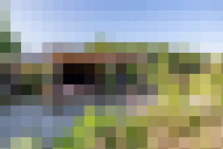 Rengerslaan 25 Kolham thumbnail 40