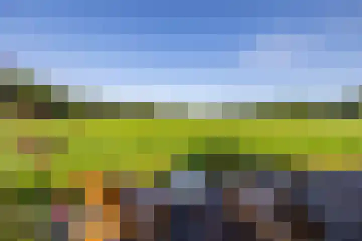 Rengerslaan 25 Kolham thumbnail 42