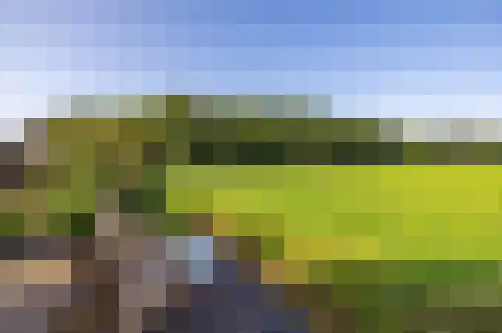 Rengerslaan 25 Kolham thumbnail 43
