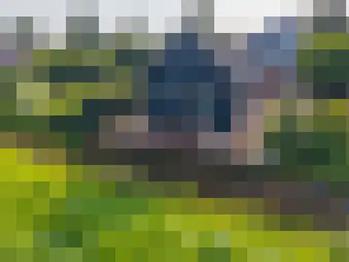 Rengerslaan 25 Kolham thumbnail 48