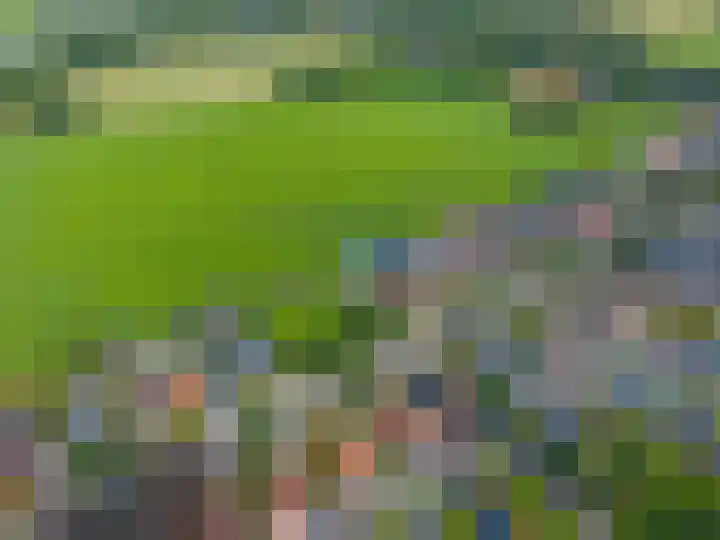 Rengerslaan 25 Kolham thumbnail 50