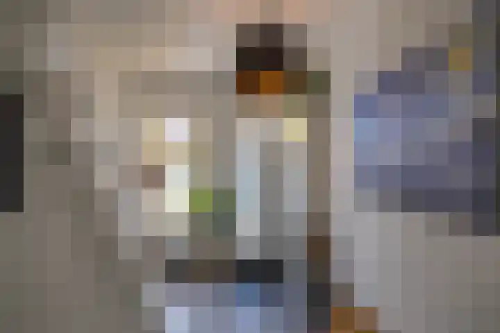 Rengerslaan 25 Kolham thumbnail 6