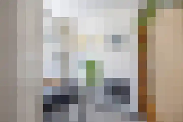 Rengerslaan 25 Kolham thumbnail 8