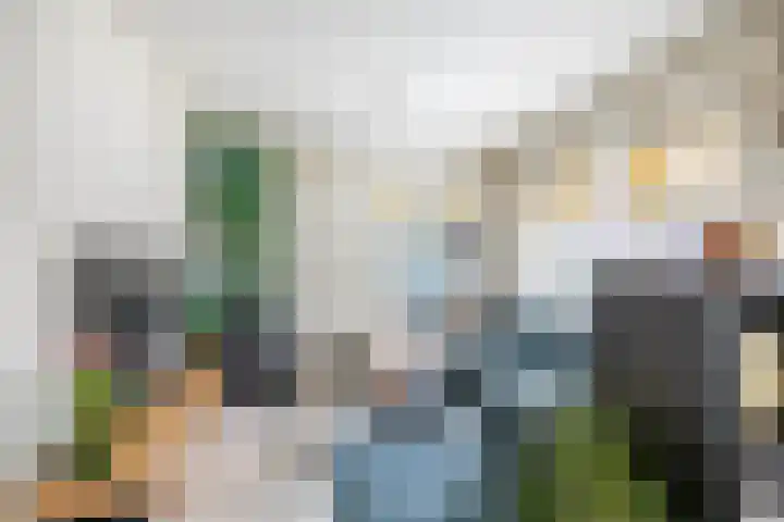 Rengerslaan 25 Kolham thumbnail 9