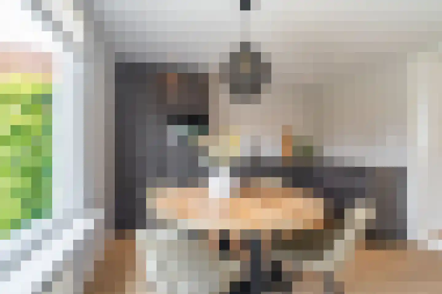 Rengerslaan 87 Kolham thumbnail 13