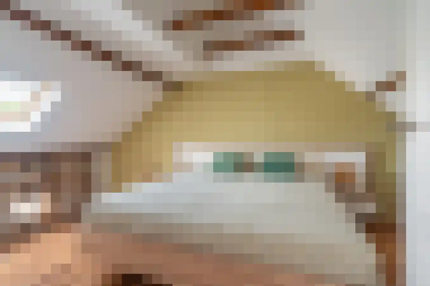 Rengerslaan 87 Kolham thumbnail 25