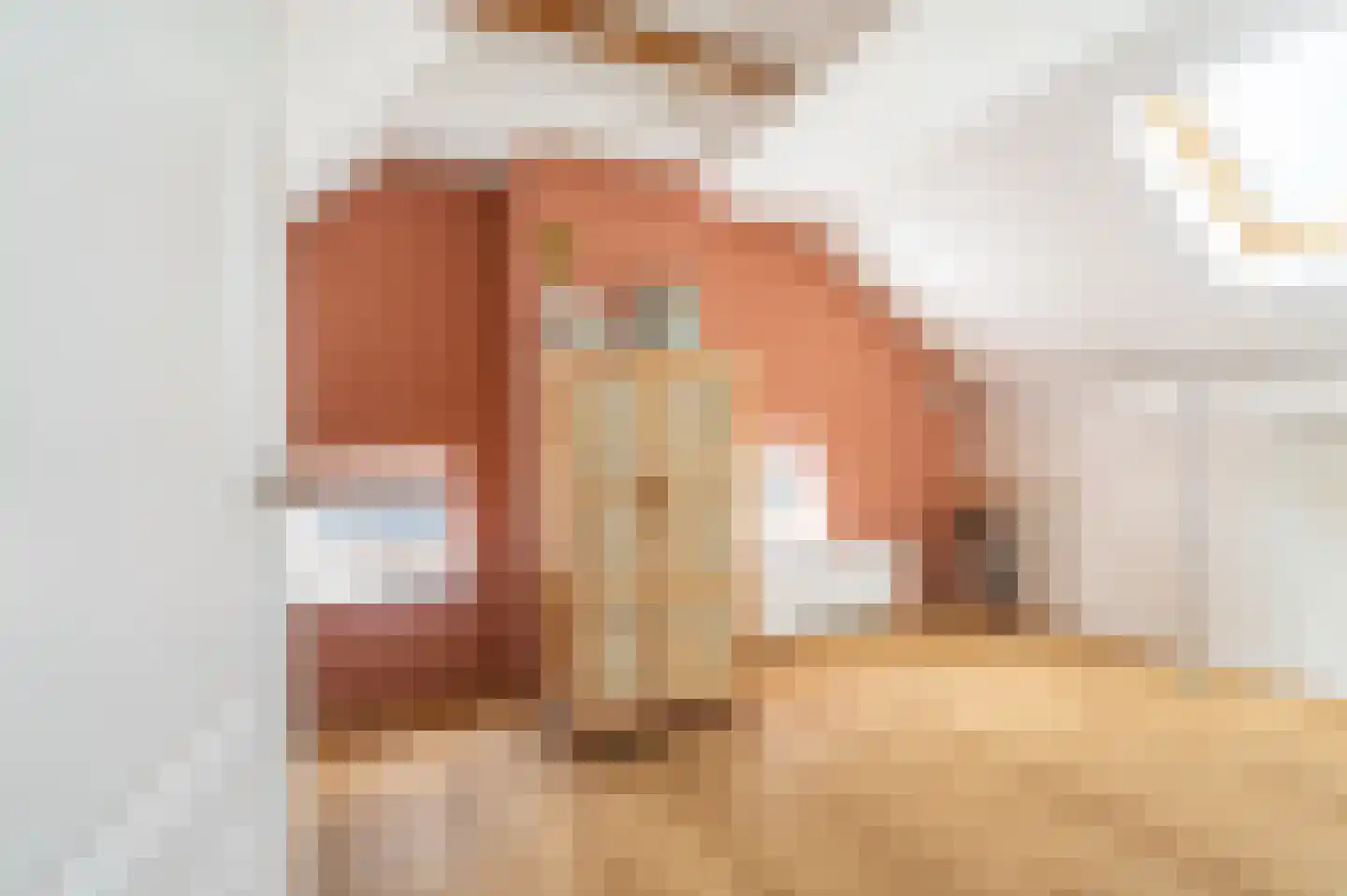 Rengerslaan 87 Kolham thumbnail 30