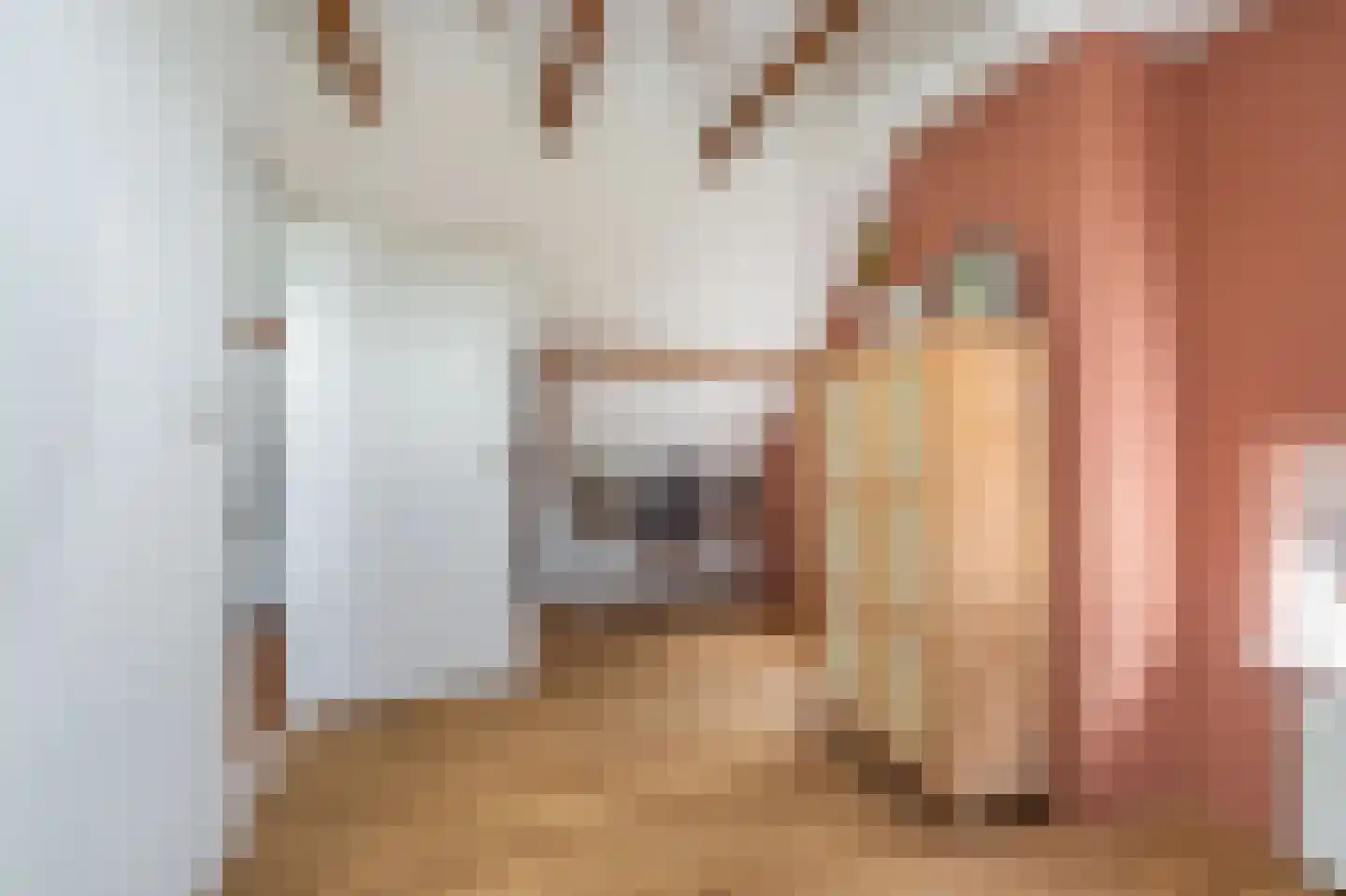 Rengerslaan 87 Kolham thumbnail 32