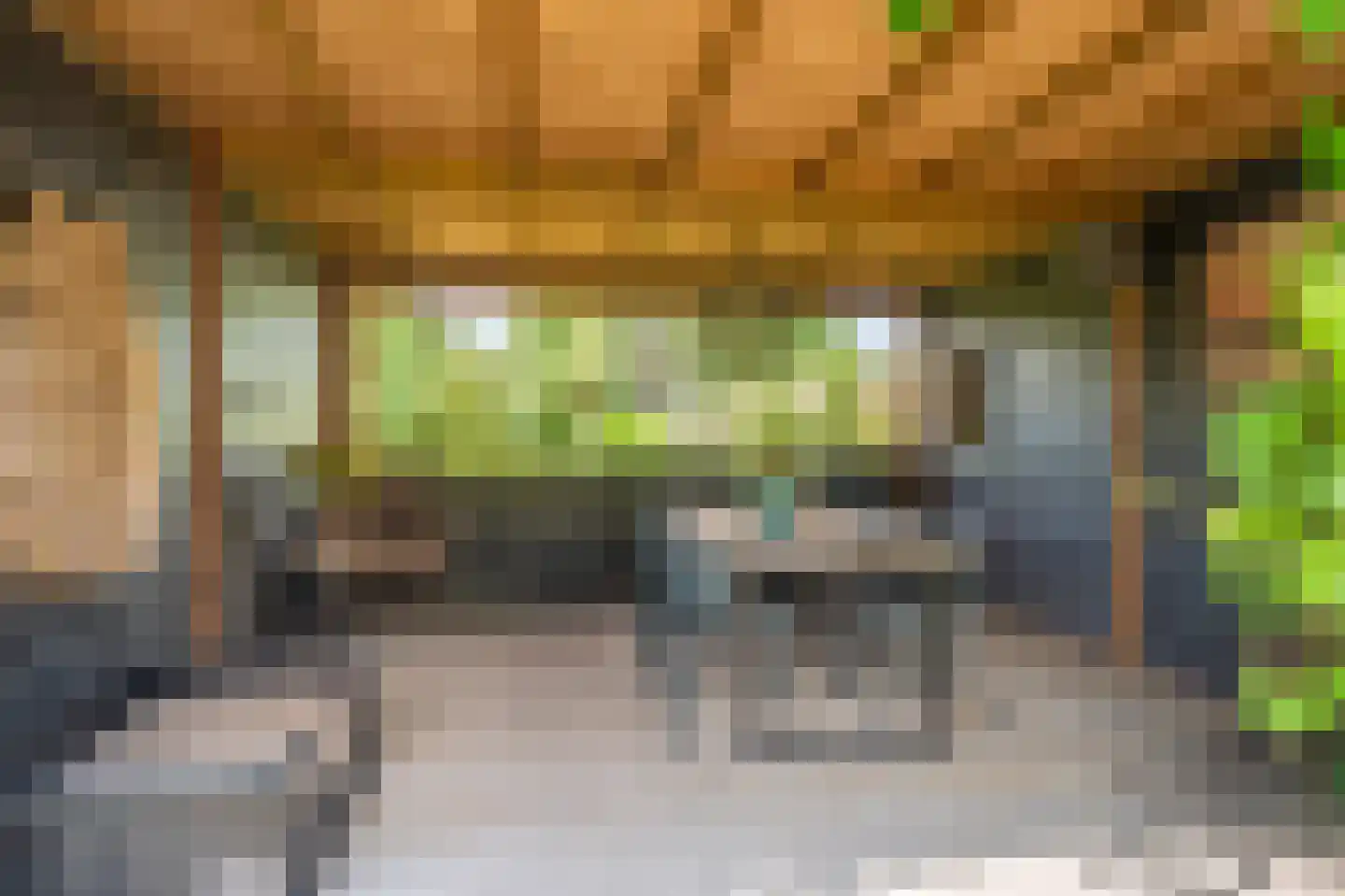 Rengerslaan 87 Kolham thumbnail 36