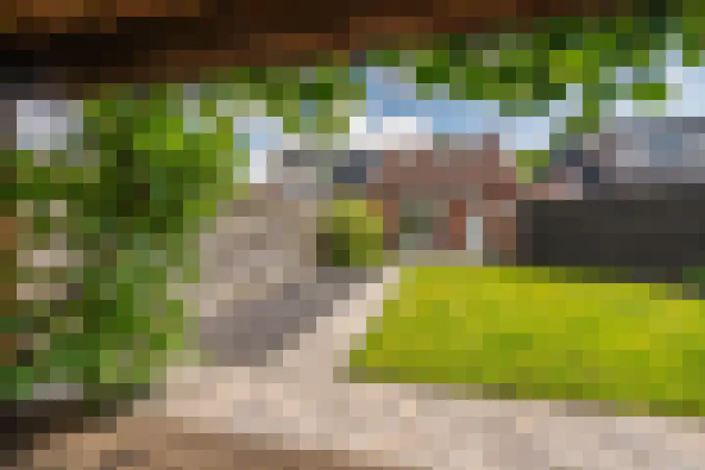 Rengerslaan 87 Kolham thumbnail 38
