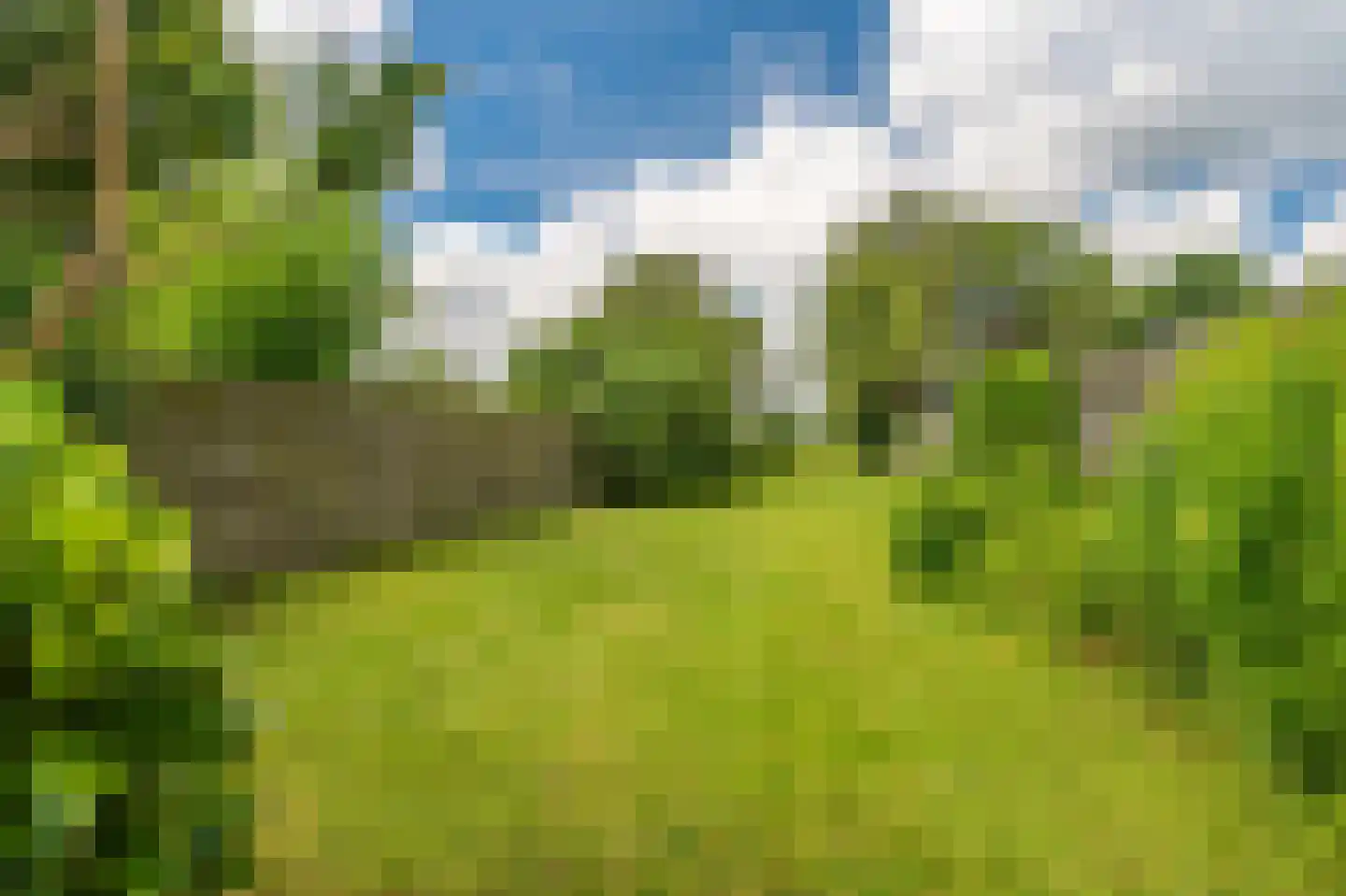 Rengerslaan 87 Kolham thumbnail 41