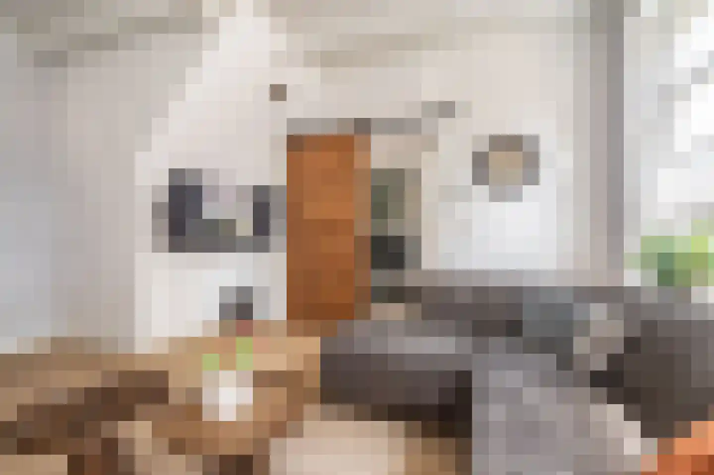 Rengerslaan 87 Kolham thumbnail 8