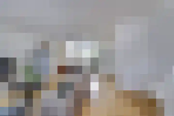 Rengersland 24 Ermelo thumbnail 10