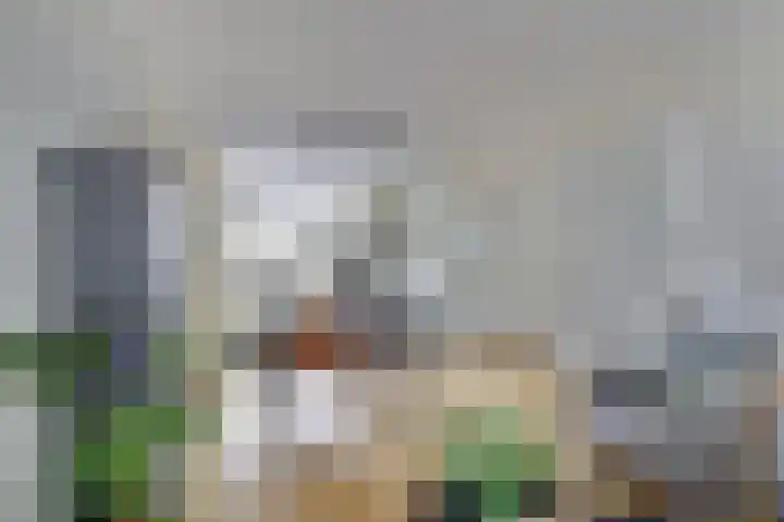 Rengersland 24 Ermelo thumbnail 11