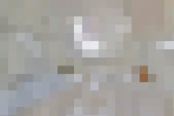 Rengersland 24 Ermelo thumbnail 21