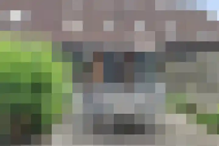 Rengersland 24 Ermelo thumbnail 30