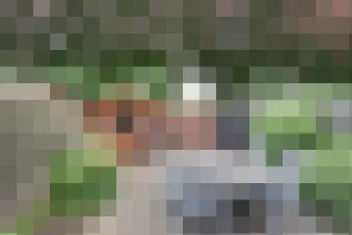 Rengersland 24 Ermelo thumbnail 33