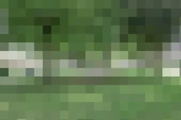 Rengersland 24 Ermelo thumbnail 37