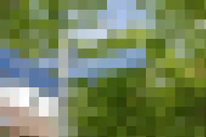 Rengersland 24 Ermelo thumbnail 38