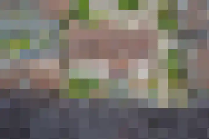 Rengersland 24 Ermelo thumbnail 39