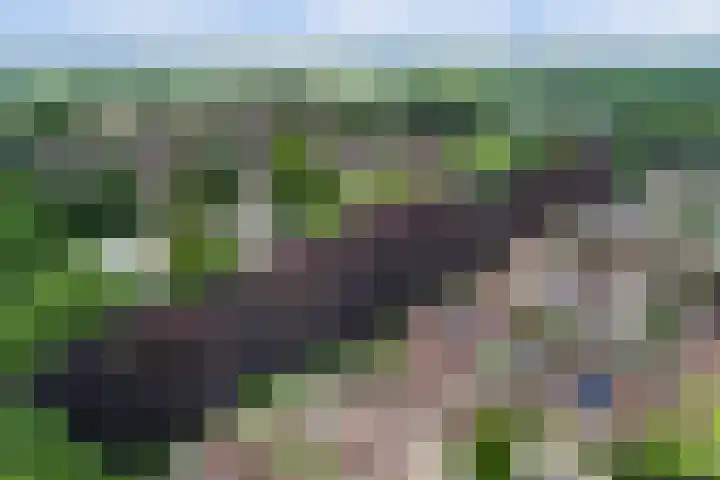 Rengersland 24 Ermelo thumbnail 40