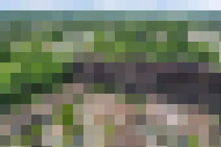 Rengersland 24 Ermelo thumbnail 41