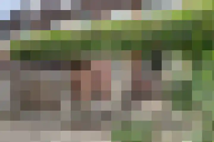 Rengersland 24 Ermelo thumbnail 5