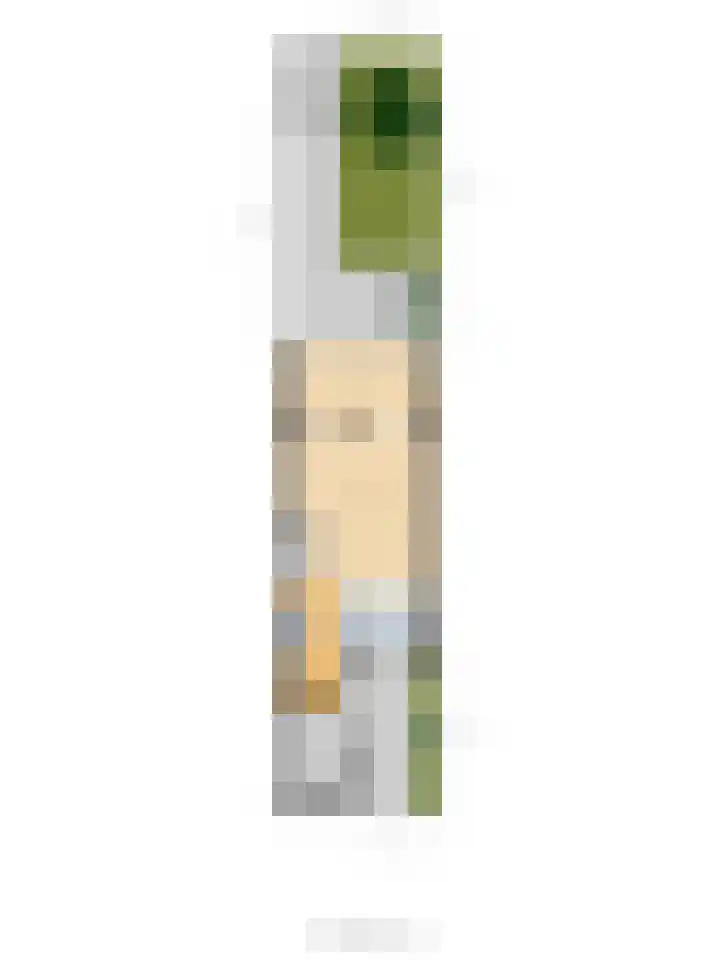 Rengersland 24 Ermelo thumbnail 50