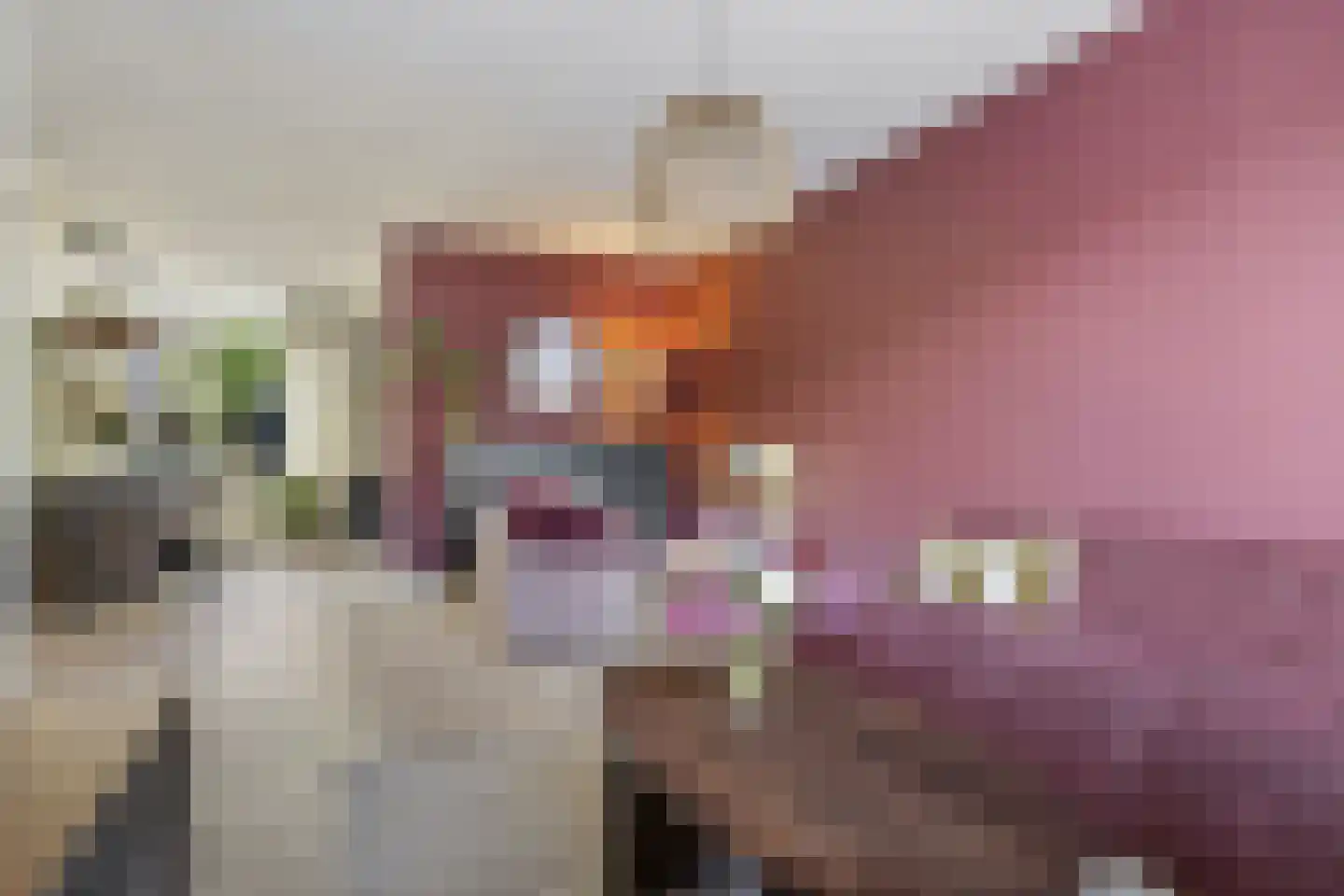 Rengersland 8 Ermelo thumbnail 11