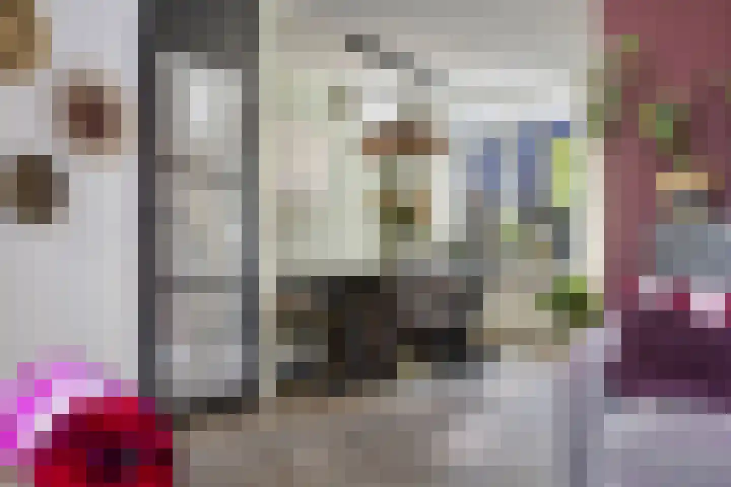 Rengersland 8 Ermelo thumbnail 13