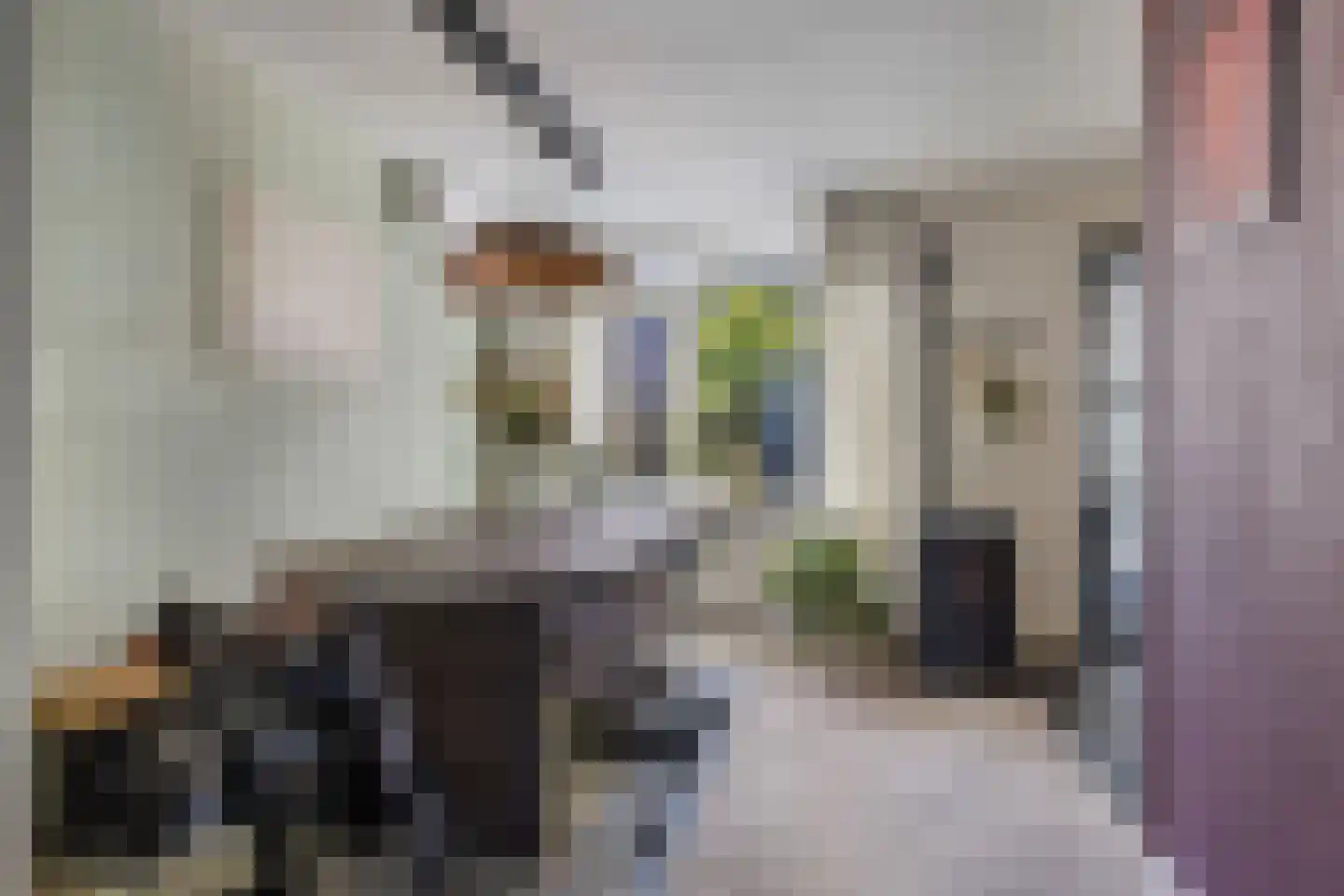 Rengersland 8 Ermelo thumbnail 14