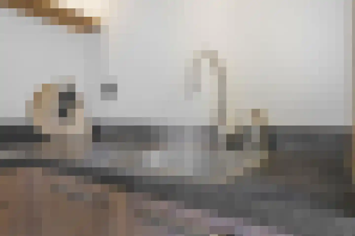 Rengersland 8 Ermelo thumbnail 17