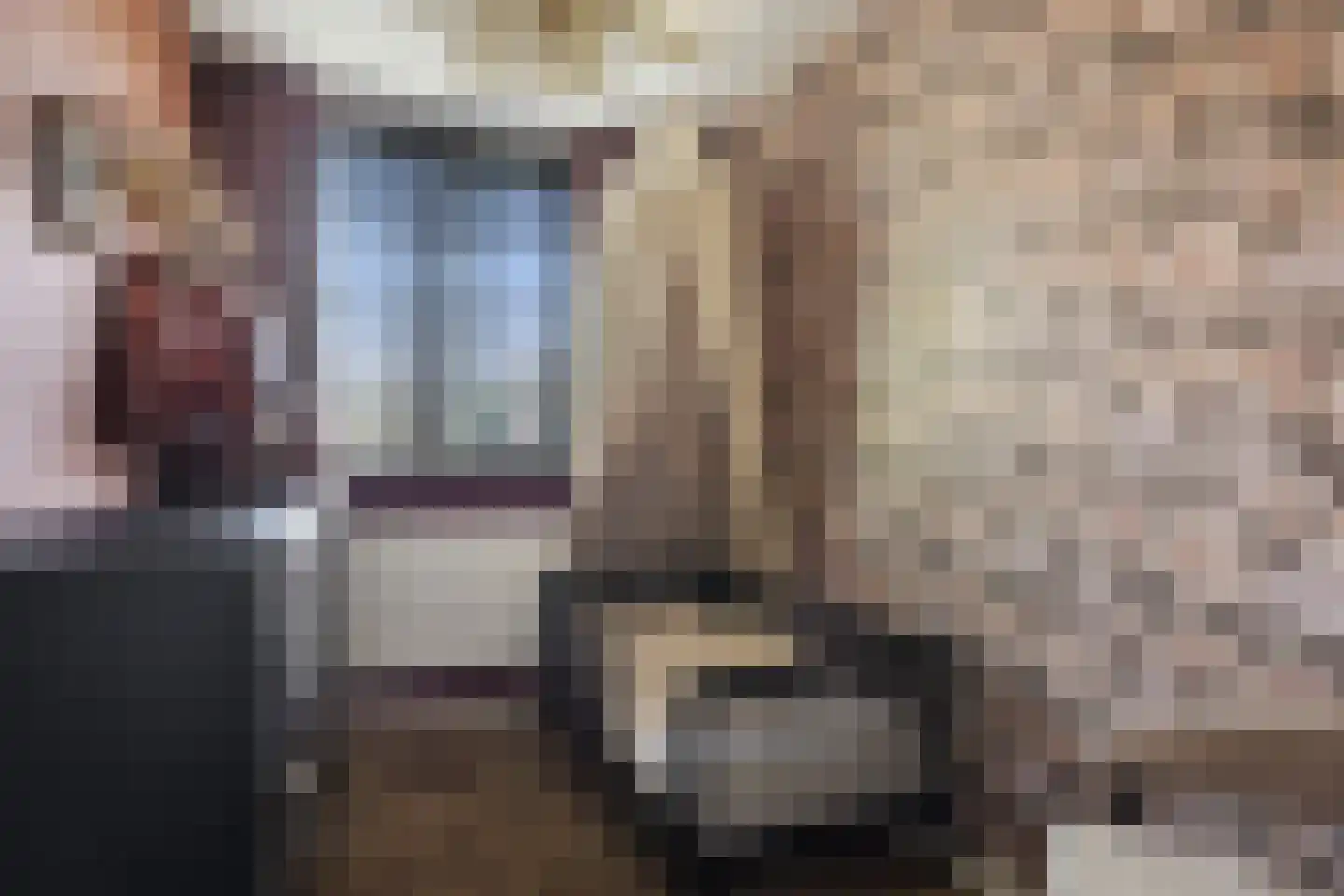 Rengersland 8 Ermelo thumbnail 25