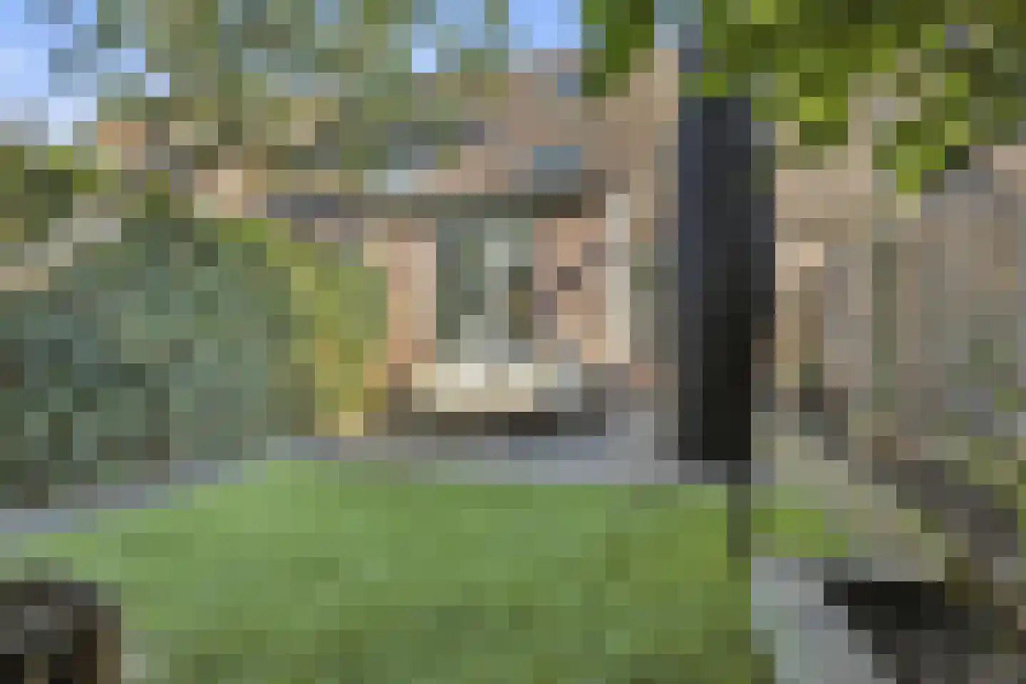 Rengersland 8 Ermelo thumbnail 38