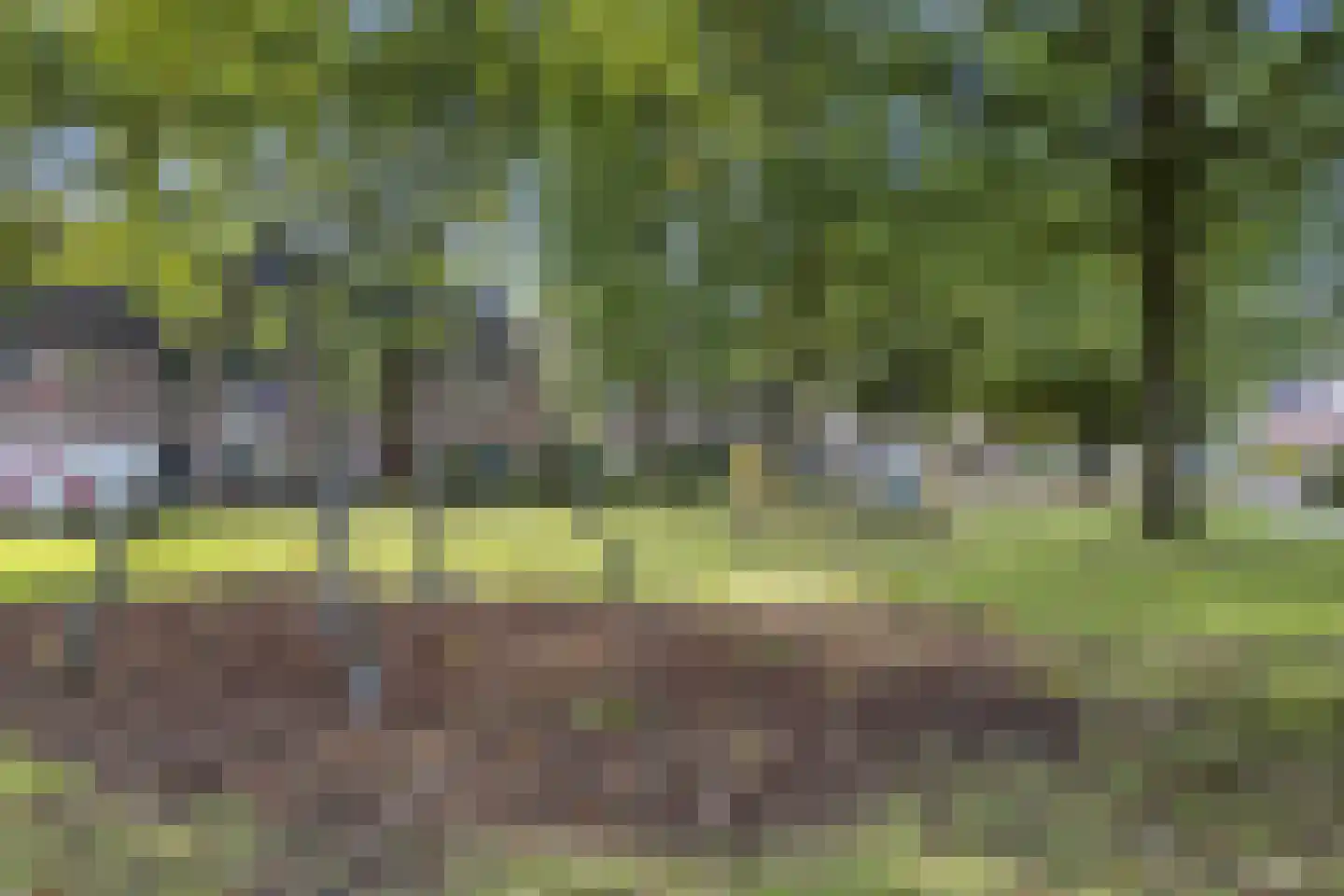 Rengersland 8 Ermelo thumbnail 40