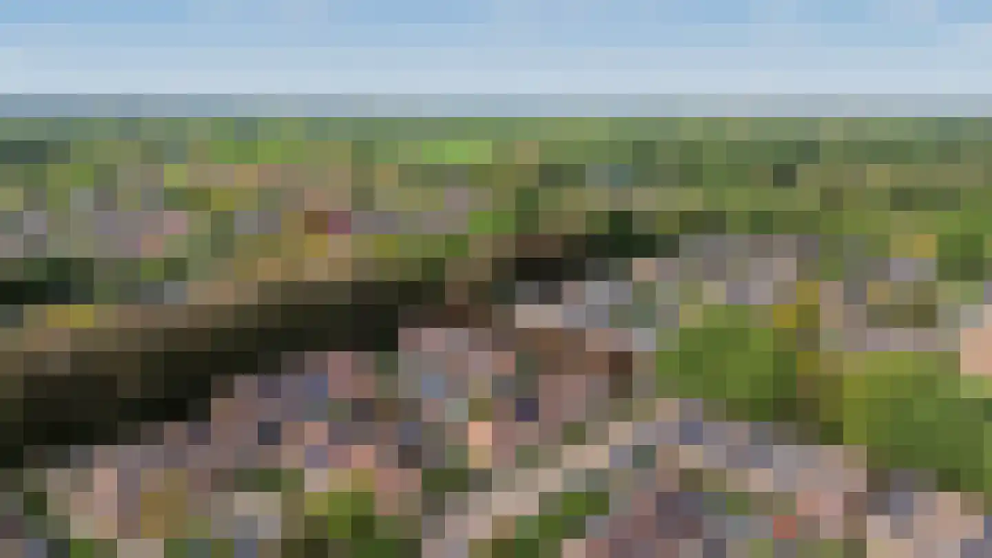Rengersland 8 Ermelo thumbnail 42