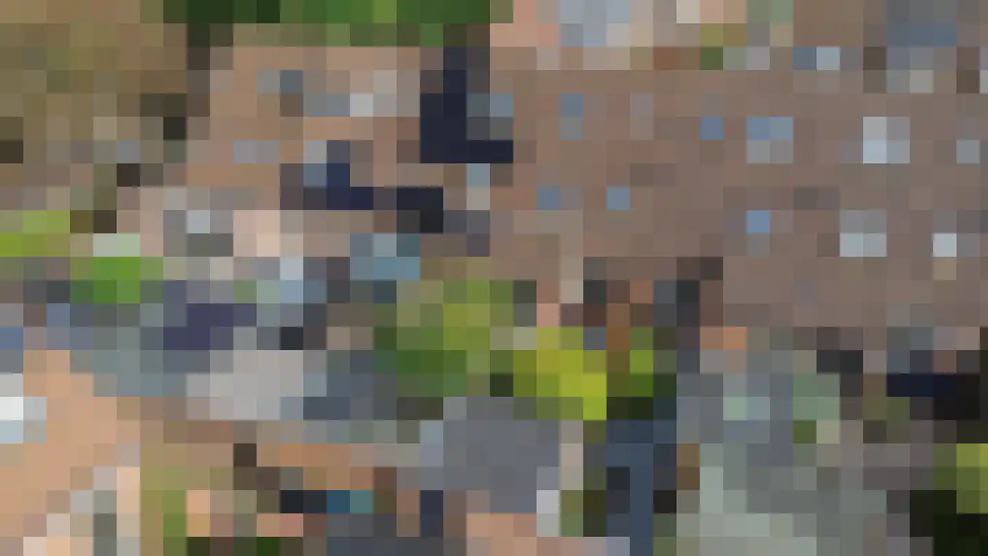 Rengersland 8 Ermelo thumbnail 44