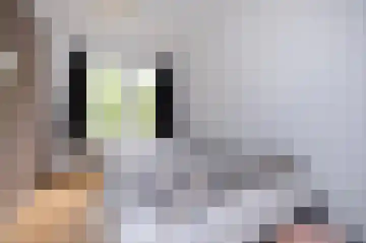 Rengersstraat 23 Groningen thumbnail 16