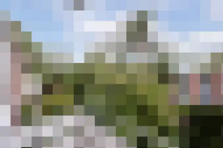 Rengersstraat 23 Groningen thumbnail 23