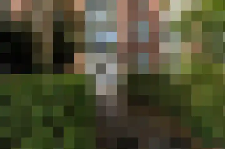 Rengersstraat 23 Groningen thumbnail 30