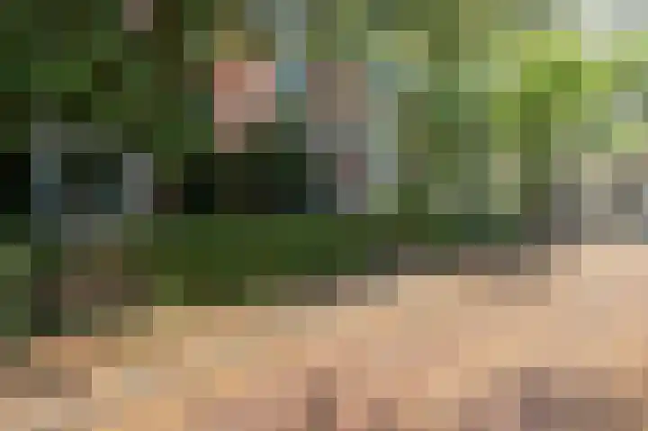 Rengersstraat 23 Groningen thumbnail 31