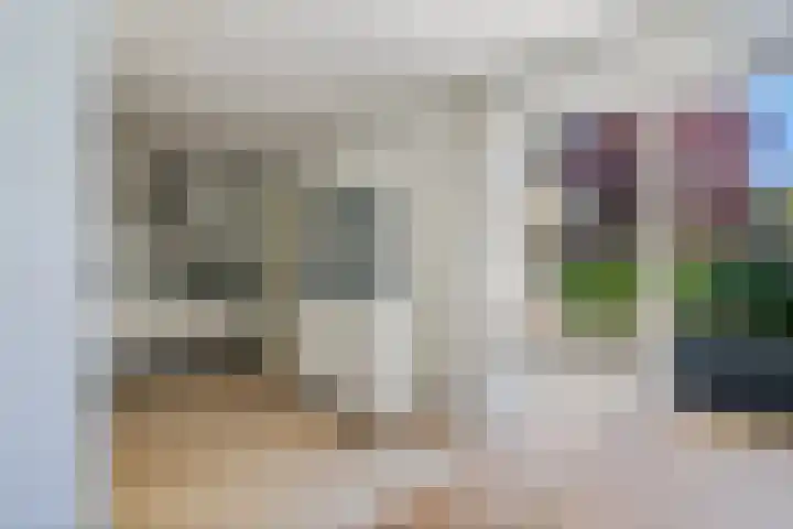 Rengersstrjitte 24 Ysbrechtum thumbnail 11