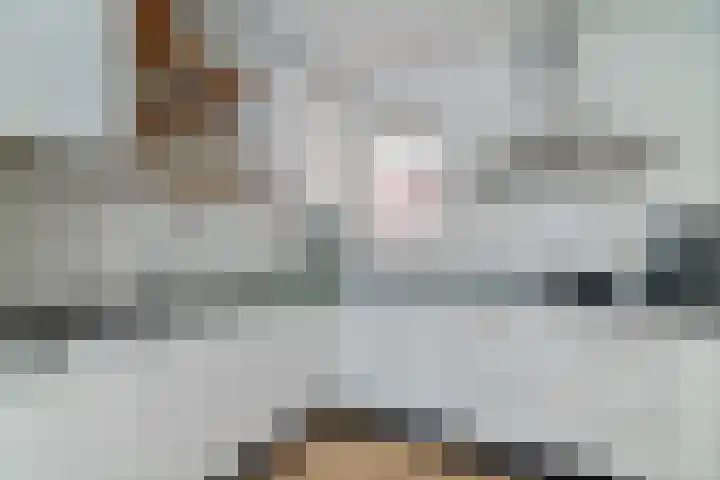 Rengersstrjitte 24 Ysbrechtum thumbnail 13