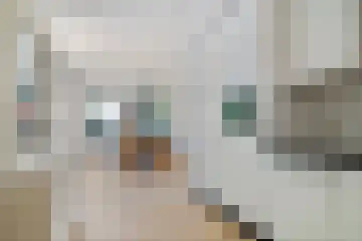 Rengersstrjitte 24 Ysbrechtum thumbnail 14